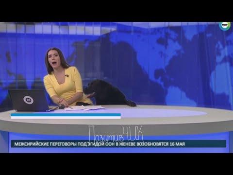 Ляпы ПРИКОЛЫ и эпичные фейлы в прямом эфире Best TV News Bloopers Fails Часть1