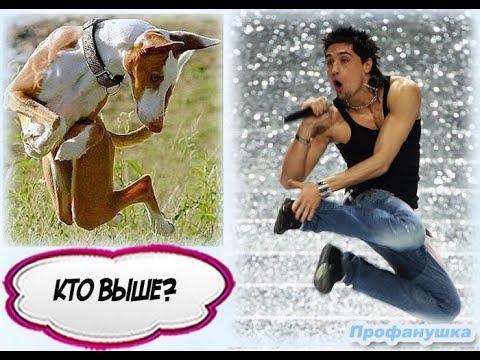 Подборка свежих приколов № 17 (2019 год). Юмор, приколы, шутки, анекдоты.